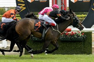 Tiptronic (NZ) claims Leg 2 of the NZB Insurance Weight-forAge Triple Crown. 
